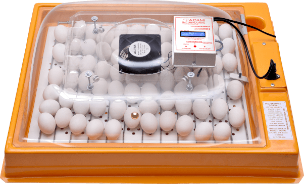 Elaborar Casa inteligente Incubadoras de huevos ADAMI • Tecnología Argentina de máxima calidad
