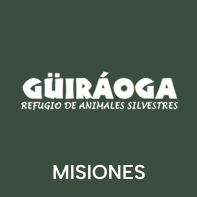 guiraoga incubadora parque fauna misiones