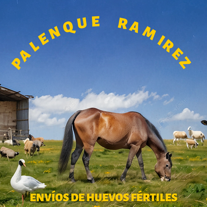 palenque ramirez incubadora aves entre rios